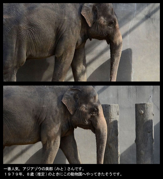 京都市立動物園